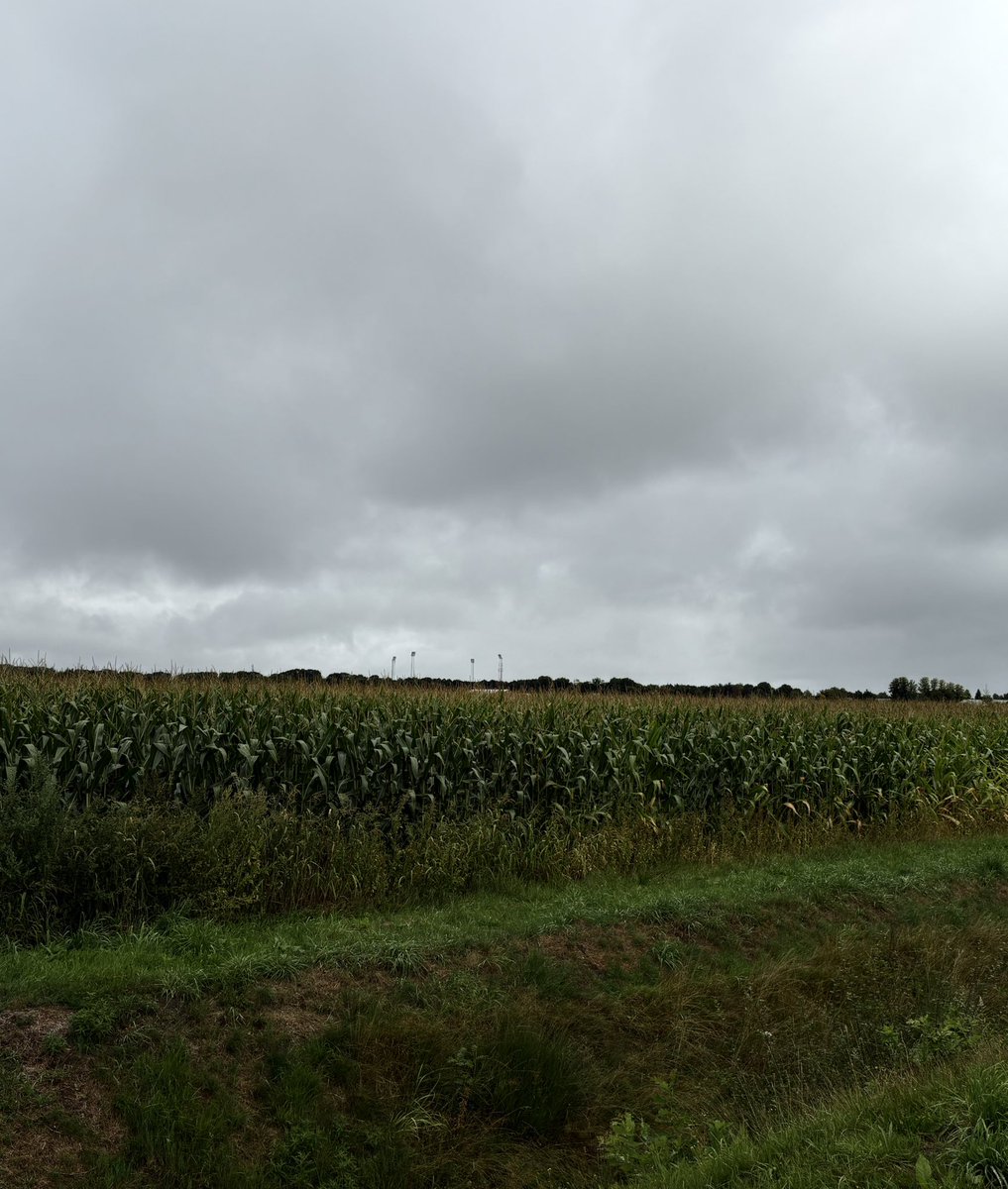 Eindelijk <a href="/FC_Emmen/">FC Emmen</a>