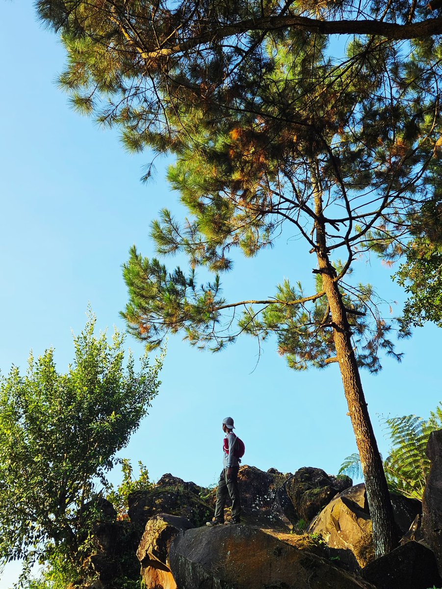 rielationshit's tweet photo. a magic of nature https://t.co/xeqPua5byC