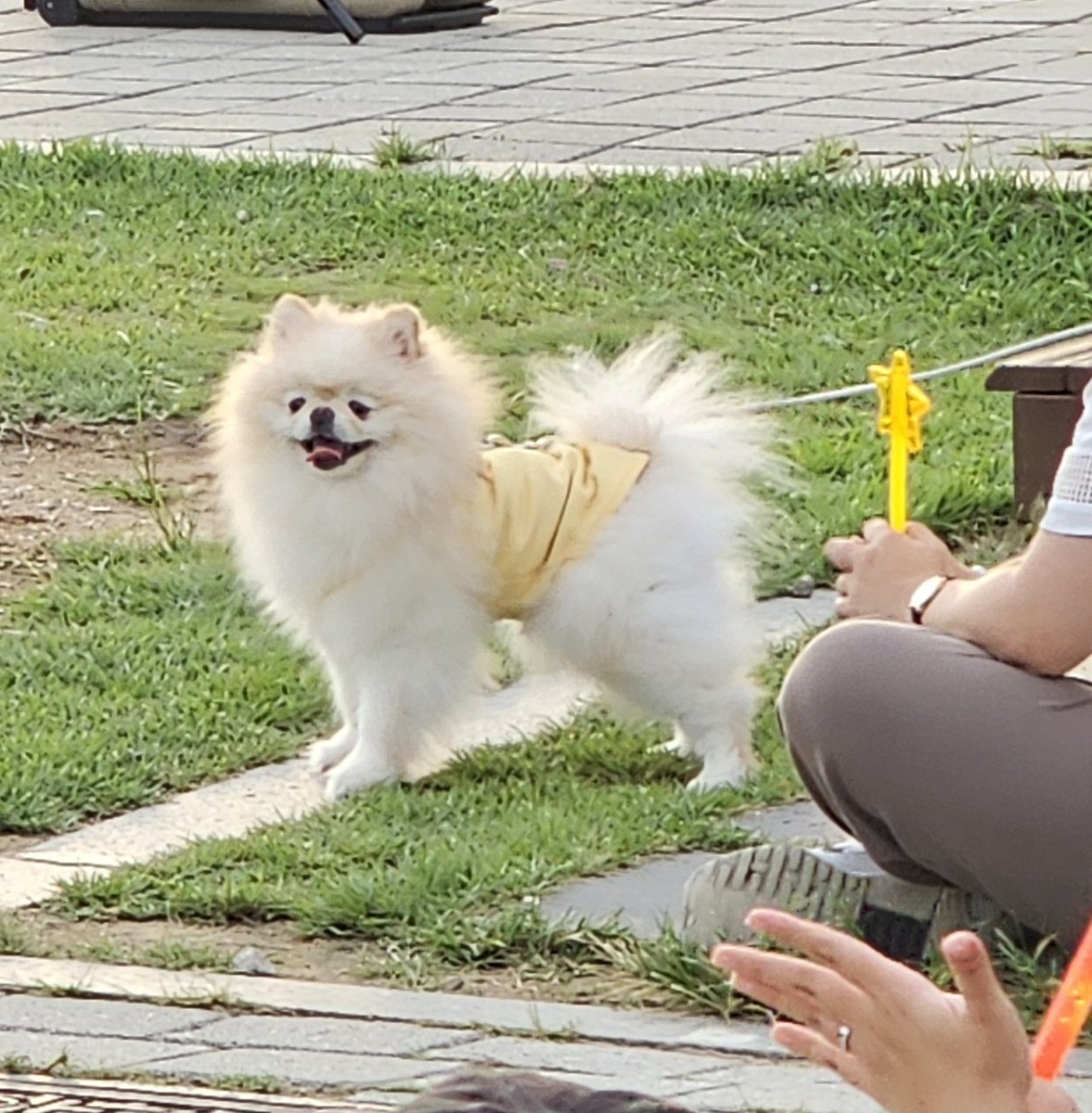 2ensAtioN's tweet photo. 강냉이도왓어요오ㅜㅜㅠ 아기여워,,, https://t.co/QKiiau4sKC