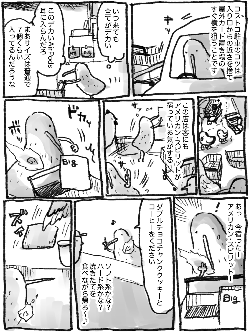 日記 コストコをエンジョイするキーウィ 