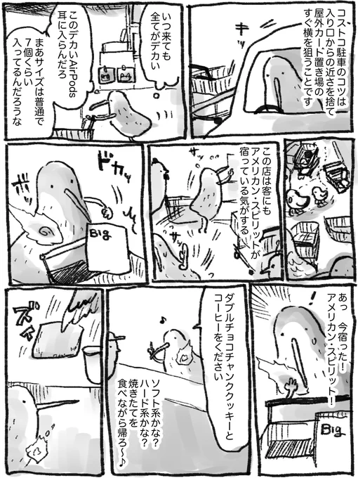 日記 コストコをエンジョイするキーウィ 