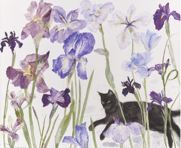 #FolkloreSunday (@sundayfolklore) on Twitter photo Morning all, <a href="/frome_maude/">Maude Frome</a> here, welcoming you to this Sunday’s theme in honour of #BlackCatAppreciationDay:
THE LORE OF BLACK CATS & ALL CATS
Bring your posts to the hashtag #FolkloreSunday for a repost after 10:30 am BST. See you soon, Maude
Image: Elizabeth Blackadder Morning all, <a href="/frome_maude/">Maude Frome</a> here, welcoming you to this Sunday’s theme in honour of #BlackCatAppreciationDay:
THE LORE OF BLACK CATS & ALL CATS
Bring your posts to the hashtag #FolkloreSunday for a repost after 10:30 am BST. See you soon, Maude
Image: Elizabeth Blackadder