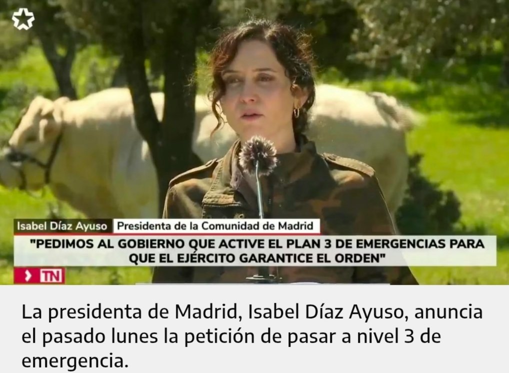 Durante el apagón, Ayuso (en plan Zelenski agrónoma) tardó minutos en pedir el nivel 3 de emergencia. A ella se unieron Galicia, Extremadura y Andalucía, entre otras. Ahora con la mitad de esas regiones ardiendo se niegan a solicitarlo. ¿Alguien entiende algo?