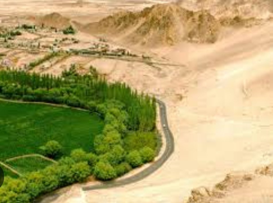 La riforestazione della Grande Muraglia Verde è un progetto ammirevole per contrastare la desertificazione. Funziona nel ridurre l'erosione, utile nel garantire sostenibilità e benefici ecologici duraturi.

#SaveSoil 
#Riforestare