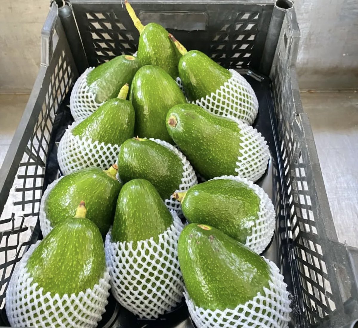 Kendi üretimimiz olan birinci kalite, iri boy avokadolarımızın satışı başlamıştır.
Doğal, taze ve lezzetli avokadolarımızı güvenle tercih edebilirsiniz. 🌿🥑