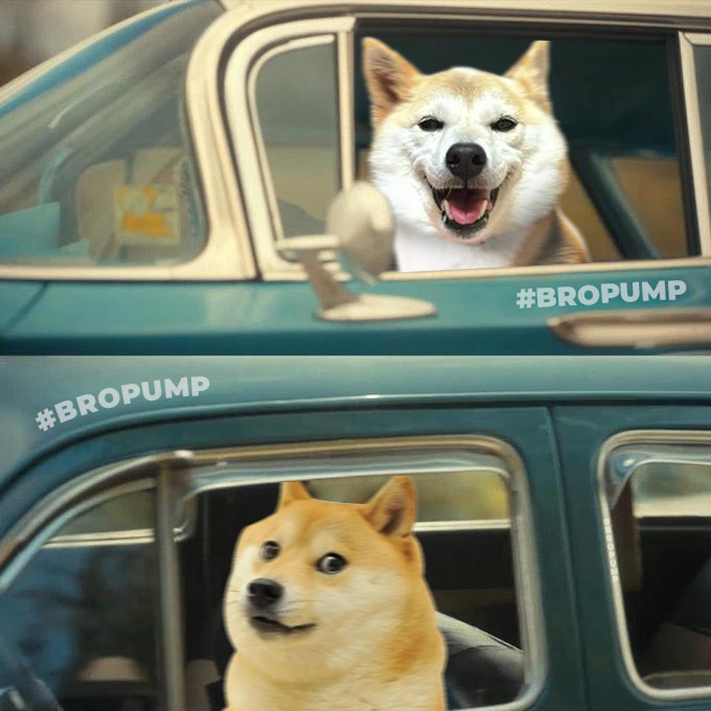TheCryptoLogic's tweet image. Hop in, the doggos going to ATH 👊⛽ 

Best thing about $Neiro 12 months since launch, is the fun you can have not stressing about chart TA, when to TP and when to SL. 

It&apos;s almost like I&apos;ve forgotten I am in crypto and just enjoying every moment before we moon 🌝 
@NeiroWoof