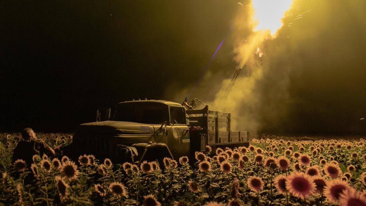 Sunflower fields in Sumy region. August 2025