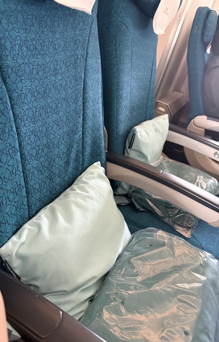 萌美🐷巨大化中 tweet media