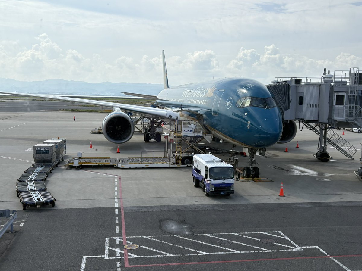 萌美🐷巨大化中 tweet media