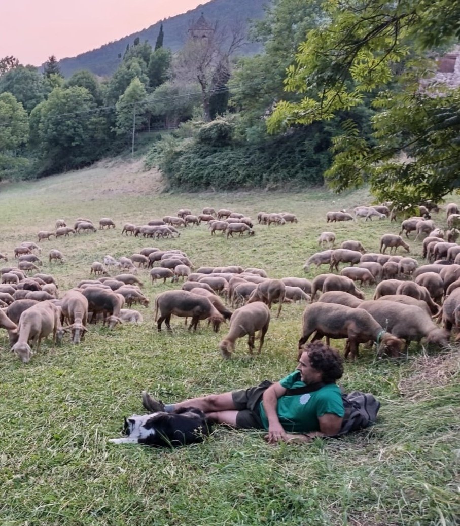 El vincle d'humans i gossos es va forjar en la llarga nit dels temps de fa més de 20.000 anys
Diuen que al costat del foc vam deixar de ser bèsties,qui sap sí també al costat dels gossos som més humans
Potser només són històries 20.000 anys després encara caminem i somiem plegats