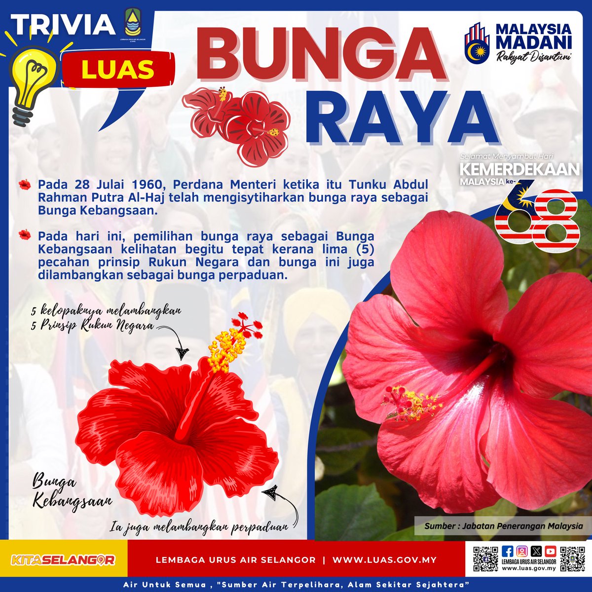 luas_selangor's tweet image. {HEBAHAN}

TRIVIA LUAS. Pada 28 Julai 1960, Perdana Menteri ketika itu Tunku Abdul Rahman Putra Al-Haj telah mengisytiharkan bunga raya sebagai Bunga Kebangsaan.

#airuntuksemua
#ThisisLUAS
#SmartSelangor
#LUAS
#LembagaUrusAirSelangor
#TRIVIALUAS