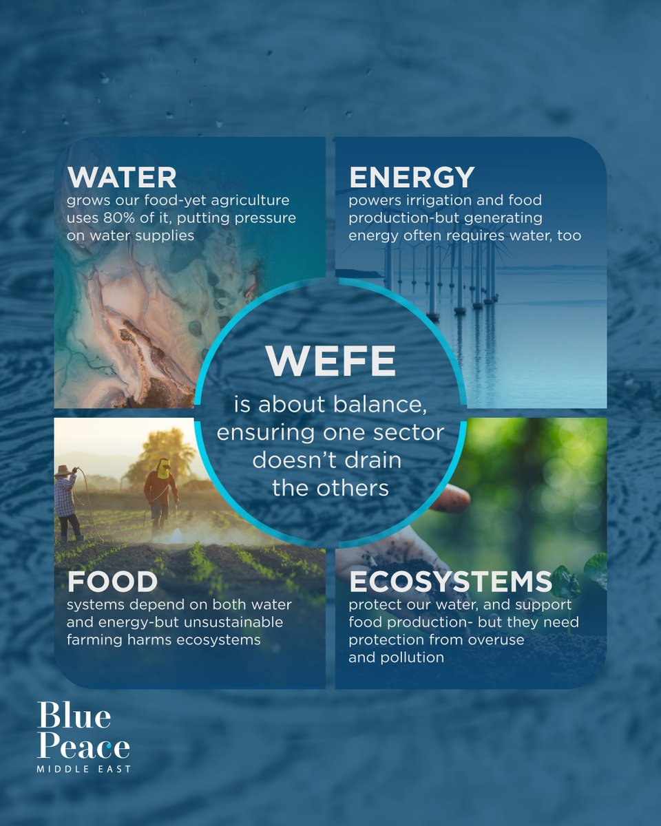 BluepeaceME's tweet photo. Water, Energy, Food, and Ecosystems aren’t separate issues, they’re deeply connected.
The WEFE Nexus reminds us that solutions must be integrated, coordinated, and future-focused.
#BluePeaceME #WEFENexus #Sustainability #IntegratedSolutions #WaterEnergyFoodEcosystems https://t.co/UxqiZi5kfj