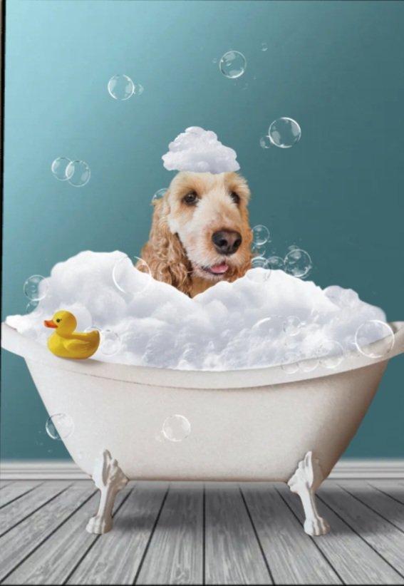 Yvette Daniels (@hetje13) on Twitter photo 