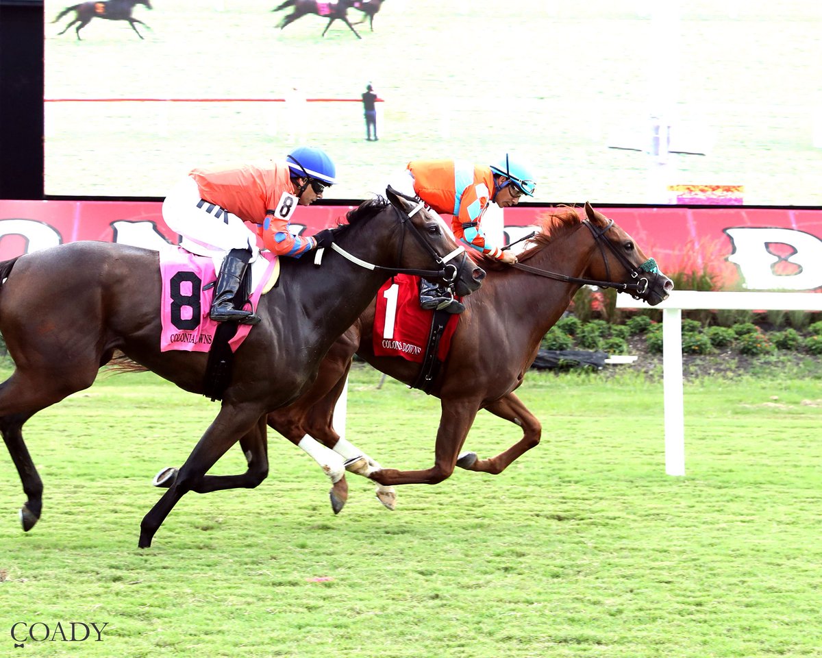 Stephen Santulli CNS (@santullims) on Twitter photo HOVEKOMA
Gets its done second asking!
Fights back in the end to get over the #8 in race 3 <a href="/ColonialDowns/">Colonial Downs Racetrack</a>
2yo Veloma filly HOVEKOMA
Gets its done second asking!
Fights back in the end to get over the #8 in race 3 <a href="/ColonialDowns/">Colonial Downs Racetrack</a>
2yo Veloma filly