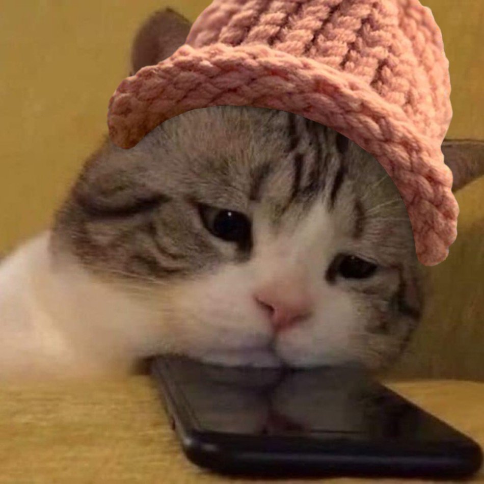 Waiting for your call 😸🧢 $cwif