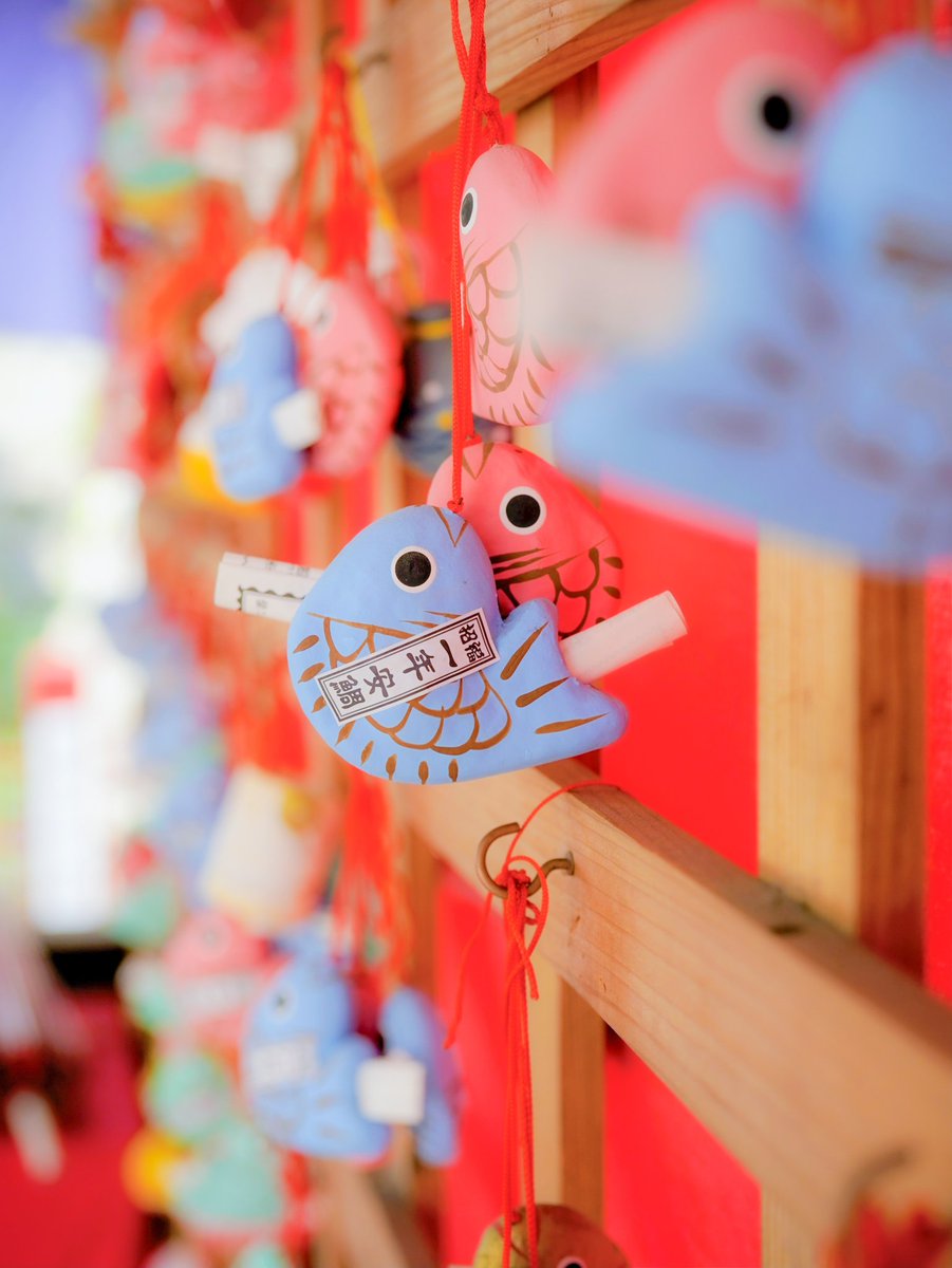 #別小江神社
#名古屋
#カメラ好きな人と繋がりたい
#写真好きな人と繋がりたい