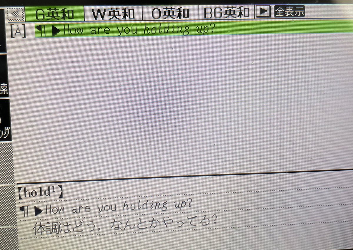 【名探偵モンク英会話】追悼の食事会に来たモンクとシャローナ。「How are you holding up？」 仲間を失ったマフィアのボスに声をかけます。

How are you holding up？
▶体調はどう、何とかやってる？
 #名探偵モンク  #MONK