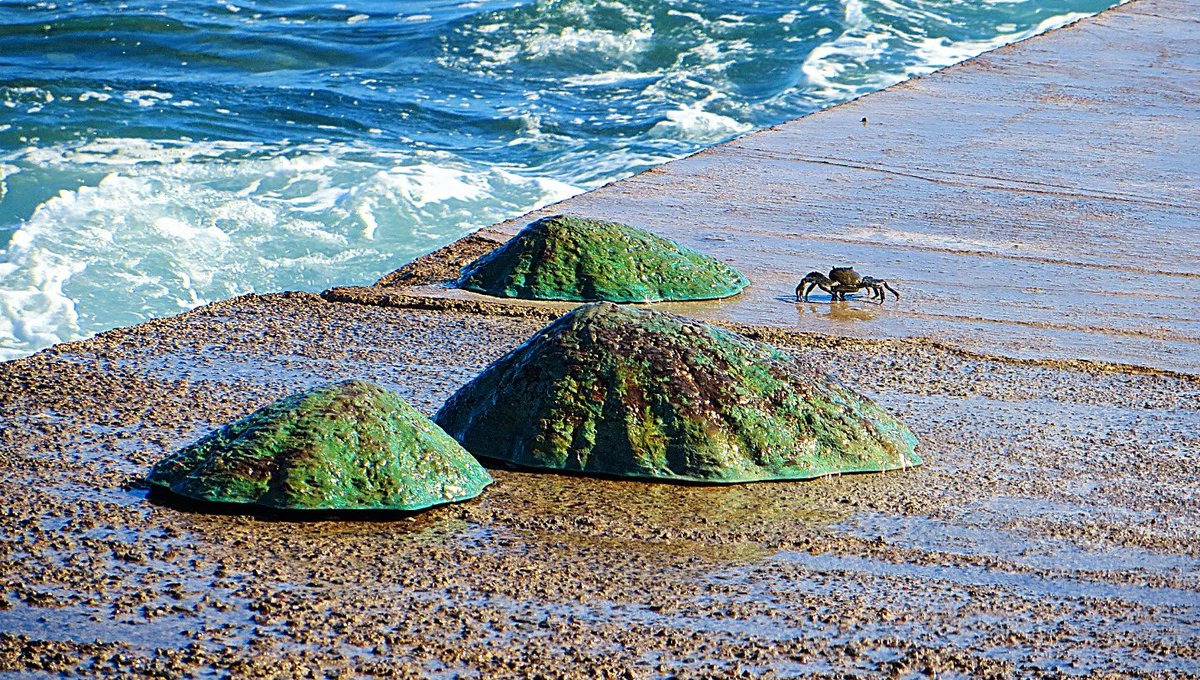 <a href="/EmiliaGlez1/">Emilia Glez</a>
<a href="/CedresEdgar/">Edgar Cedrés</a>
<a href="/VickyPalmaMeteo/">Vicky Palma</a>
<a href="/TiempoRTVC/">El Tiempo RTVC</a>
<a href="/PontealDiaRTVC/">Ponte al Día</a>
<a href="/RAM_meteo/">RAM: Revista del Aficionado a la Meteorología</a>
<a href="/tenerife_meteo/">Meteo_Tenerife</a>
<a href="/Adricor_fer/">Adrián Cordero</a>
<a href="/fran40tf/">☀⛅️️fran40 ☔️</a>
<a href="/LoqueVeoTfe/">𝕊𝕖 𝕍𝕖 𝕖𝕟 𝕋𝕖𝕟𝕖𝕣𝕚𝕗𝕖</a>
<a href="/Gus_texeda/">Gustavo Domínguez</a>
<a href="/holyber/">𝕆𝕝𝕚𝕧𝕖𝕣 ツ</a>
<a href="/ecazatormentas/">Cazatormentas</a>
<a href="/MMarioPhoto/">MarioPhoto</a>
<a href="/AGMCan/">AGMC - Actualidad Geográfica-Meteorológica de 🇮🇨</a>
<a href="/MeteoSW/">MeteoSW⛈️</a>
Bajamar/Tfe. #FelizDomingo