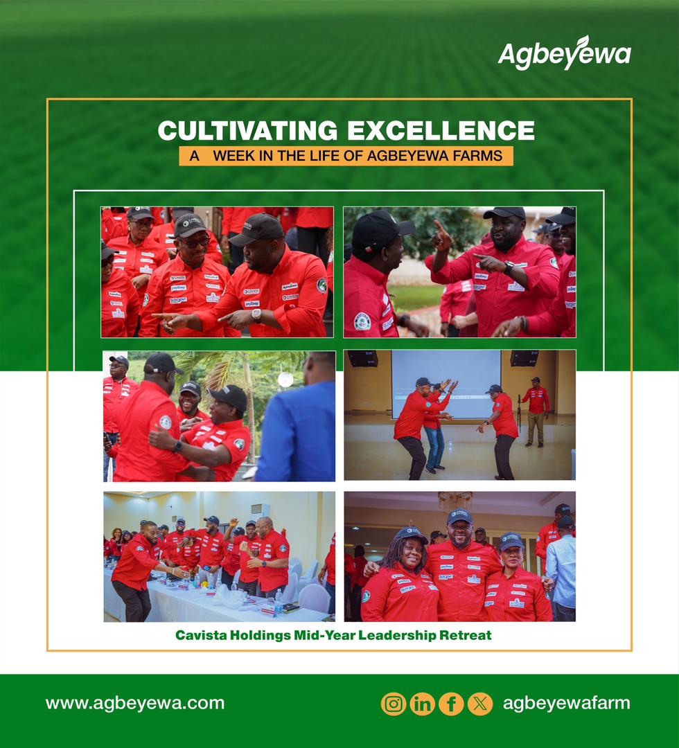 Cultivating Excellence, Driving Impact!

From strategy sessions to shared moments of joy, the Cavista Holdings Mid-Year Leadership Retreat.

#AgbeyewaFarms #CassavaRevolution #CavistaHoldingsleadershipretreat 
#Leadership #SustainableAgriculture #FoodSecurity #Teamwork