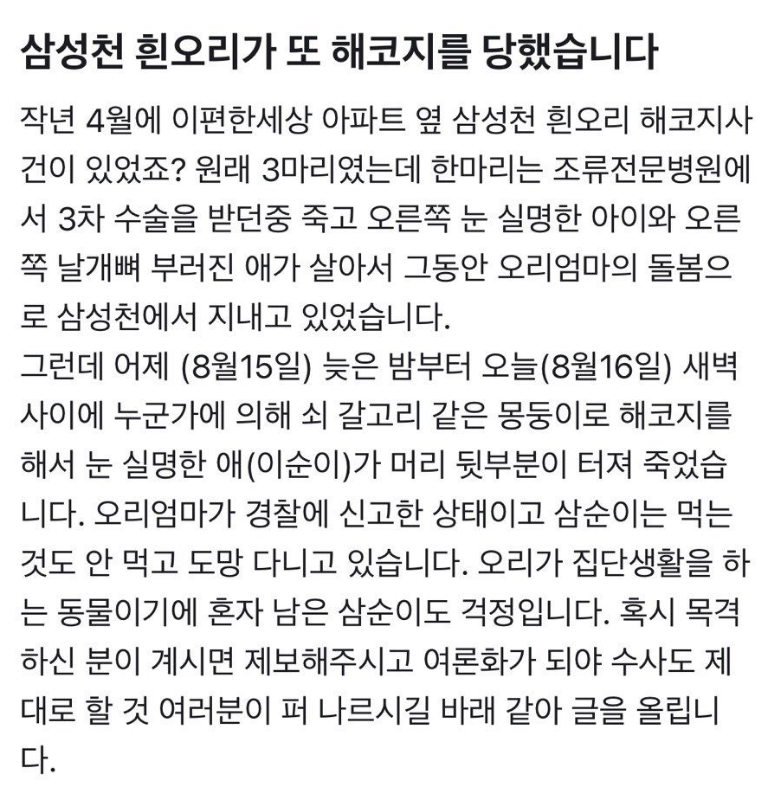 아... 전에 안양 삼성천 오리를 누가 돌팔매질해서 다치게 했는데, 그때 눈 실명한 오리를 어제 누가 죽였다고.

진짜 인간이 너무 싫어진다.
난 이런 인간은 진짜 사형을 시켜도 부족하다고 생각해.
너무 화가 난다.