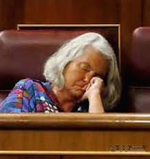 Noviembre 2008 
La UME llevaba dos años en funcionamiento.
La diputada del PP Beatriz Rodríguez-Salmones decía en el Congreso a la ministra de Defensa:
«Señora Carme Chacón, deje de utilizar a nuestros soldados como apagafuegos».
Y este sigue siendo el PP. Y esta es la vida.