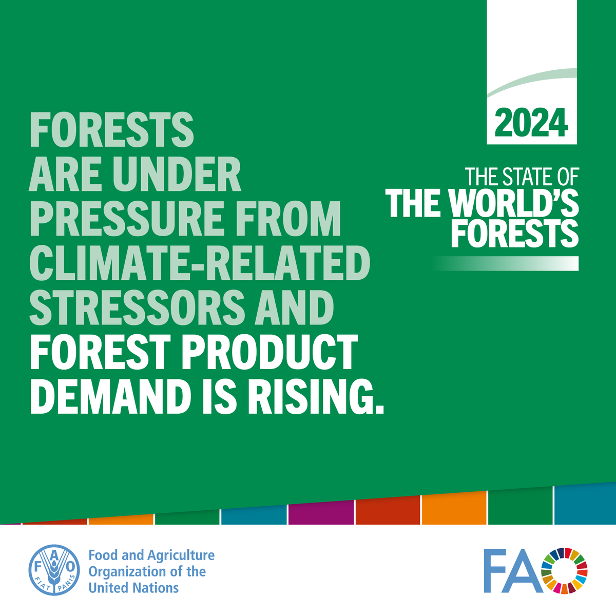 FAO Forestry (@faoforestry) on Twitter photo Forests are under pressure from climate-related stressors and forest product demand is rising
Read more in <a href="/FAO/">Food and Agriculture Organization</a>’s flagship publication The State of the World’s Forests 2024
👉 ow.ly/CFGN50SGXZG
#SOFO2024 Forests are under pressure from climate-related stressors and forest product demand is rising
Read more in <a href="/FAO/">Food and Agriculture Organization</a>’s flagship publication The State of the World’s Forests 2024
👉 ow.ly/CFGN50SGXZG
#SOFO2024