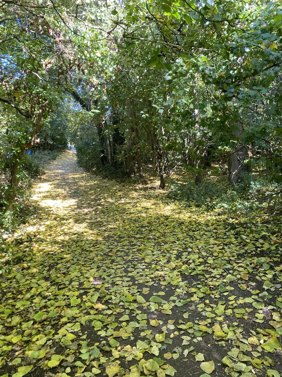 Edwin Borman tweet media