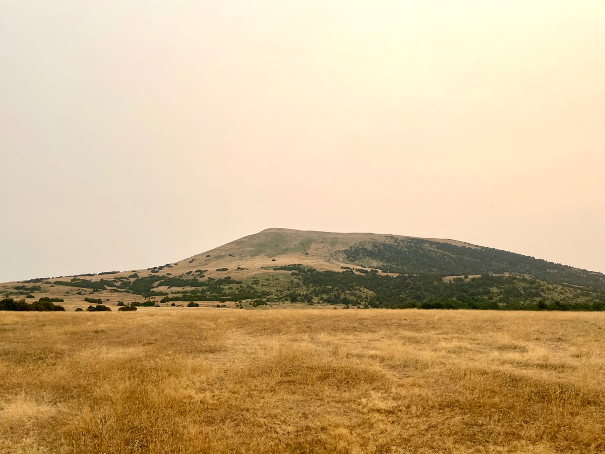 Un año más, aunque esta vez se haya quedado en un paseo hasta cerca de Santa Orosia y a los pies de Oturia.

Mañana no demasiado calurosa pero de apenas visibilidad de las cimas del Pirineo.

Espero que valga, Aúpa Zaragoza, a conquistar Anoeta!!!