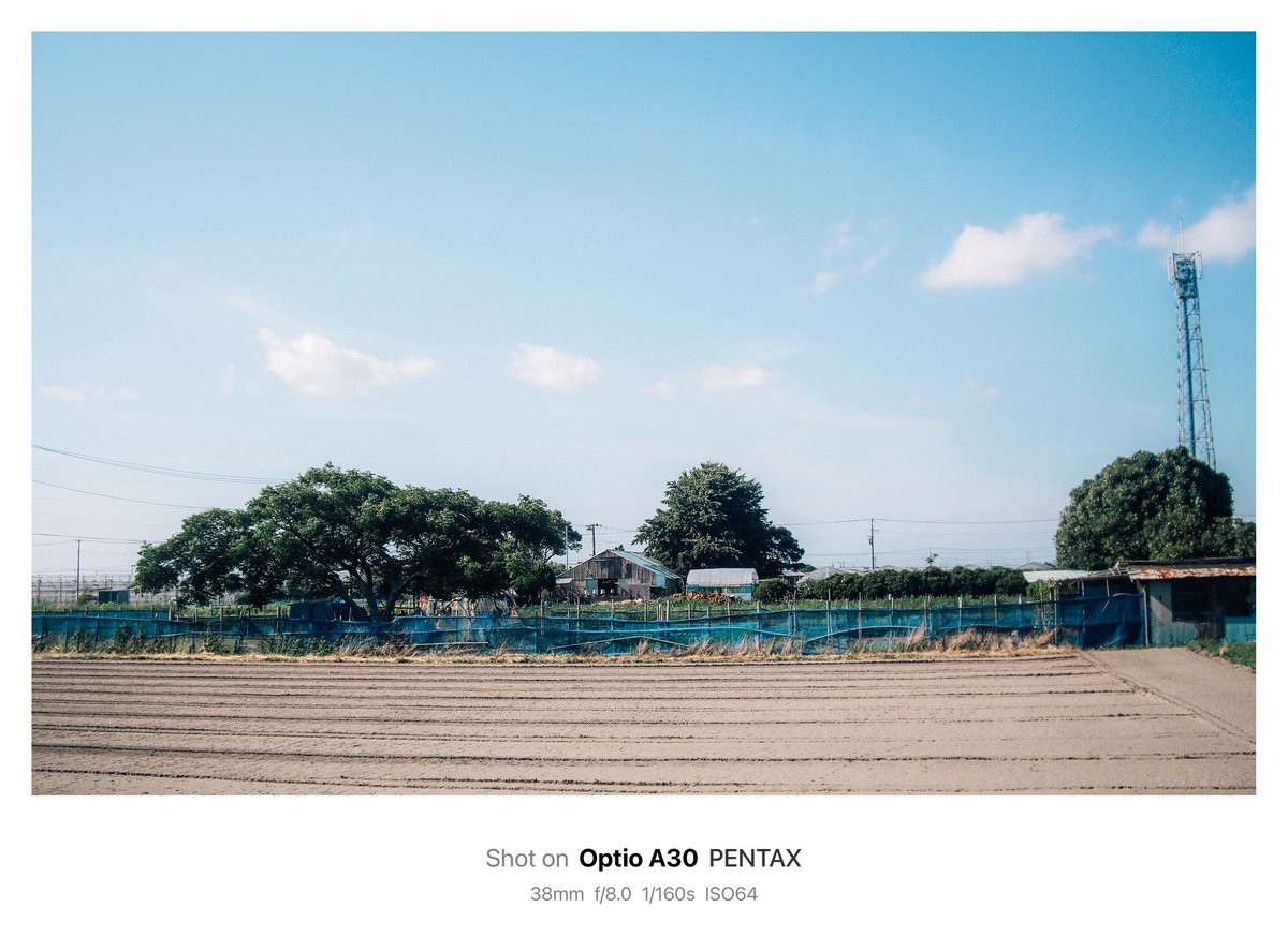 海まで行ったのに撮らずに帰ってきた