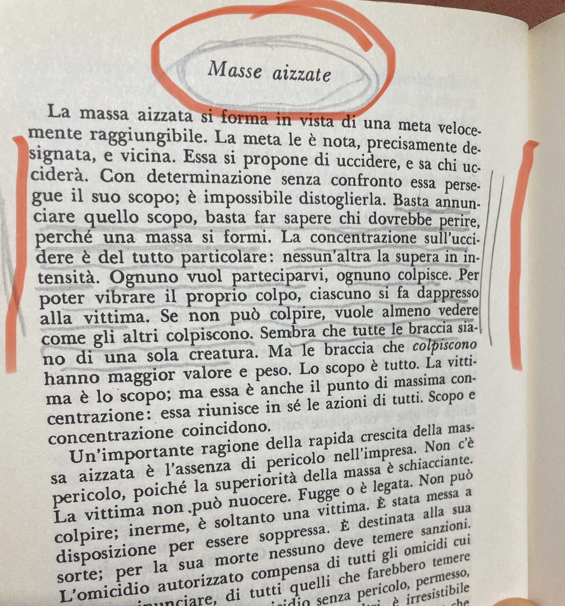 Francesco Manuti tweet media