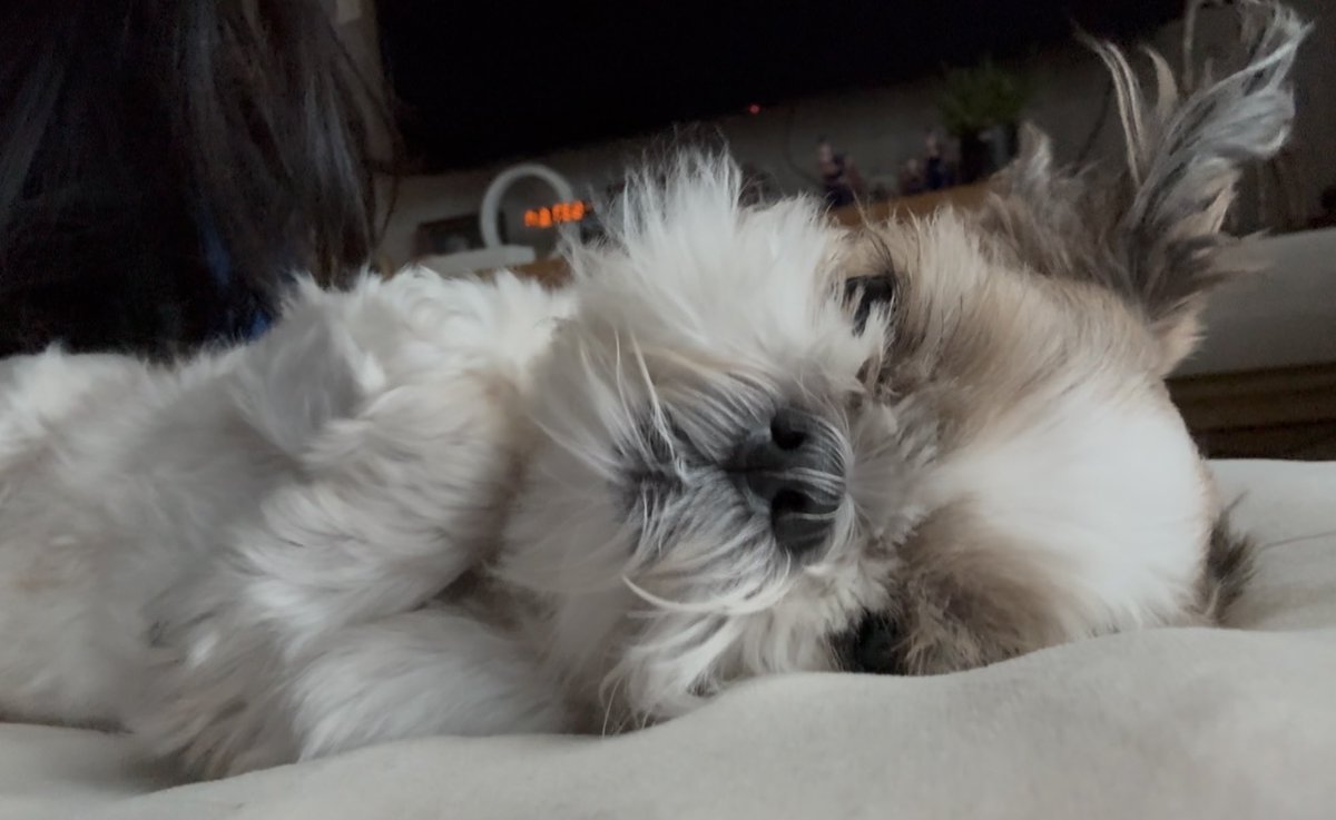 궁금해.. 
누나의 이상견..