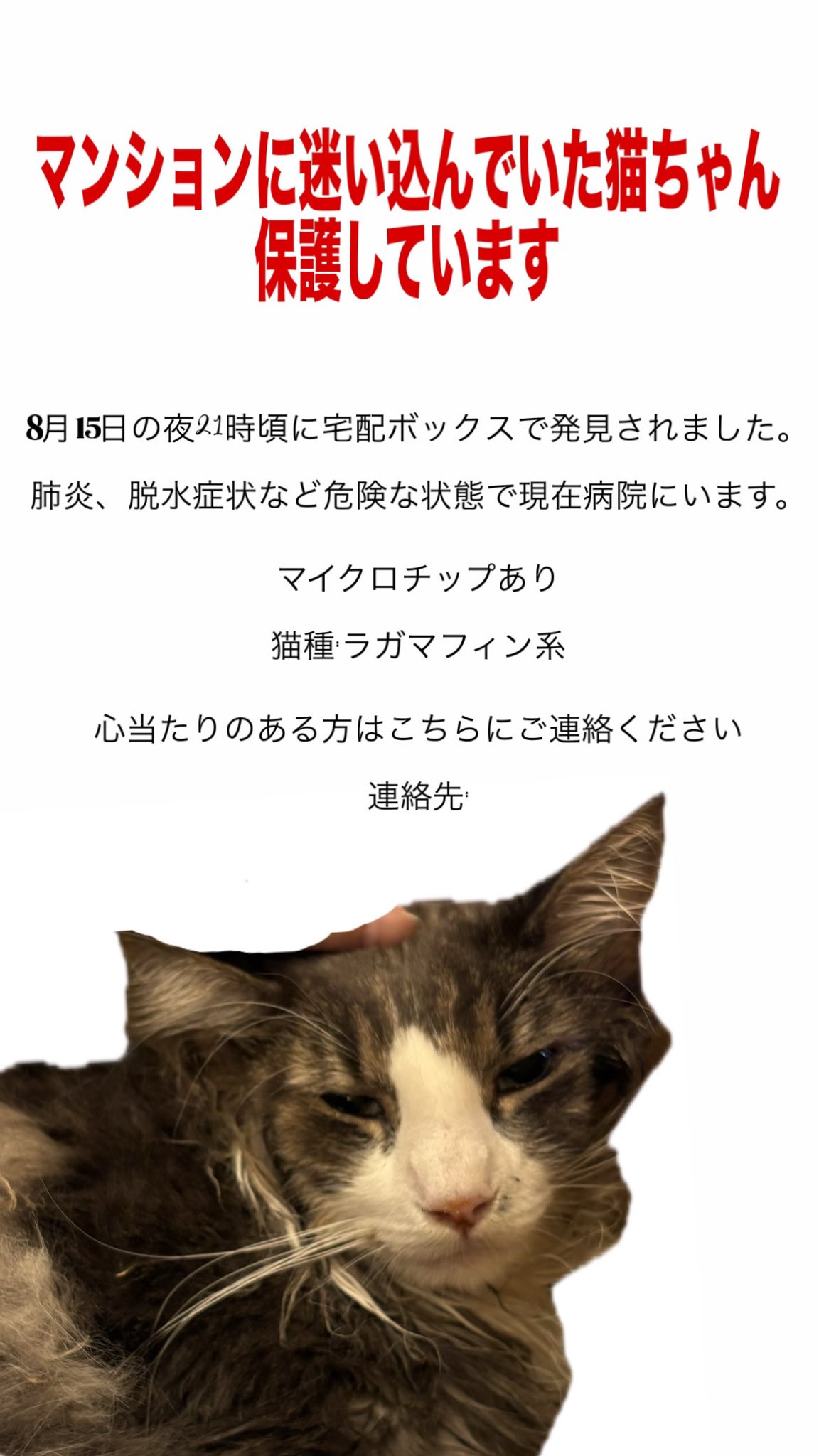 ちぴ (@Z9KkVTfCx190273) / X