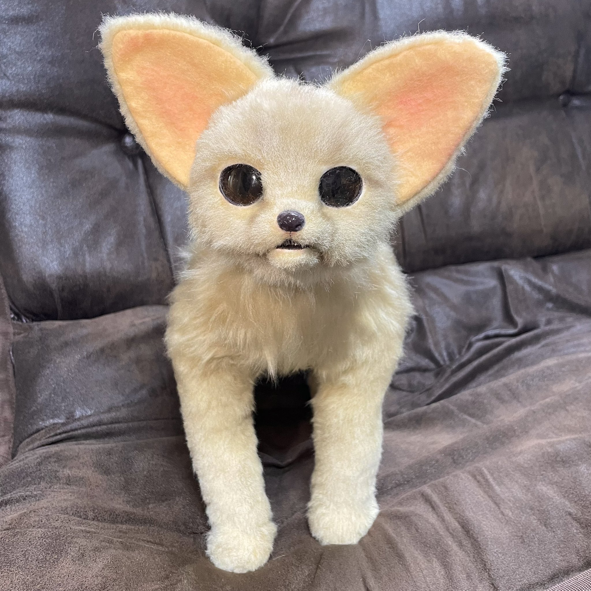 アートドール ベビーフェネック 【公式通販】