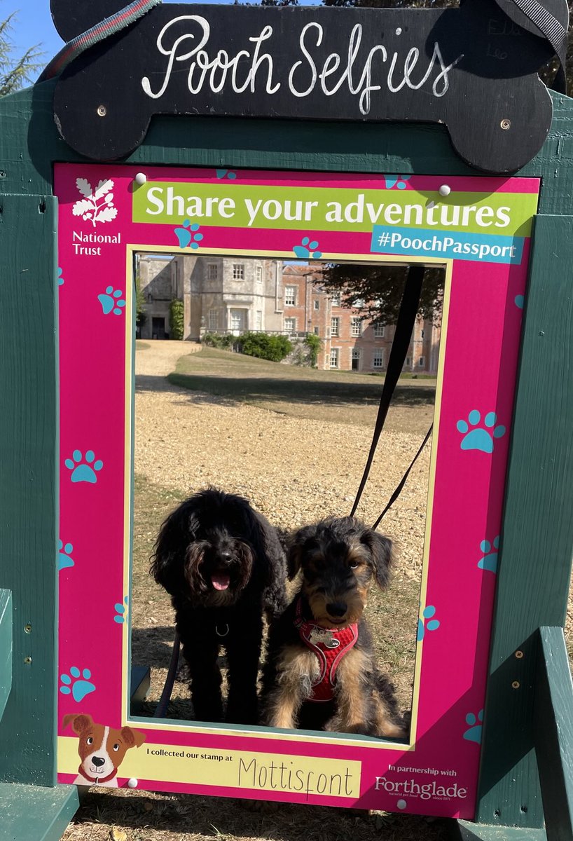 #poochpassport #nationaltrust #mottisfont ⁦<a href="/nationaltrust/">National Trust</a>⁩ ⁦<a href="/MottisfontNT/">Mottisfont</a>⁩ Titch the #Cockapoo and Bernard-Higgins the #airedale