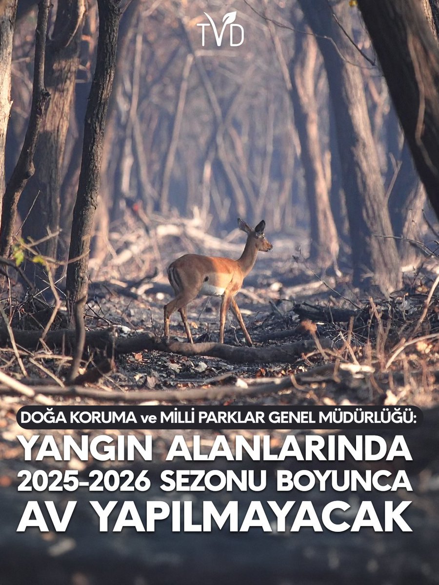 Doğa Koruma ve Milli Parklar Genel Müdürlüğü, dün sosyal medya paylaşımıyla yangınlarından zarar görmüş alanlarda 2025-2026 sezonu boyunca avın yasaklandığını açıkladı.