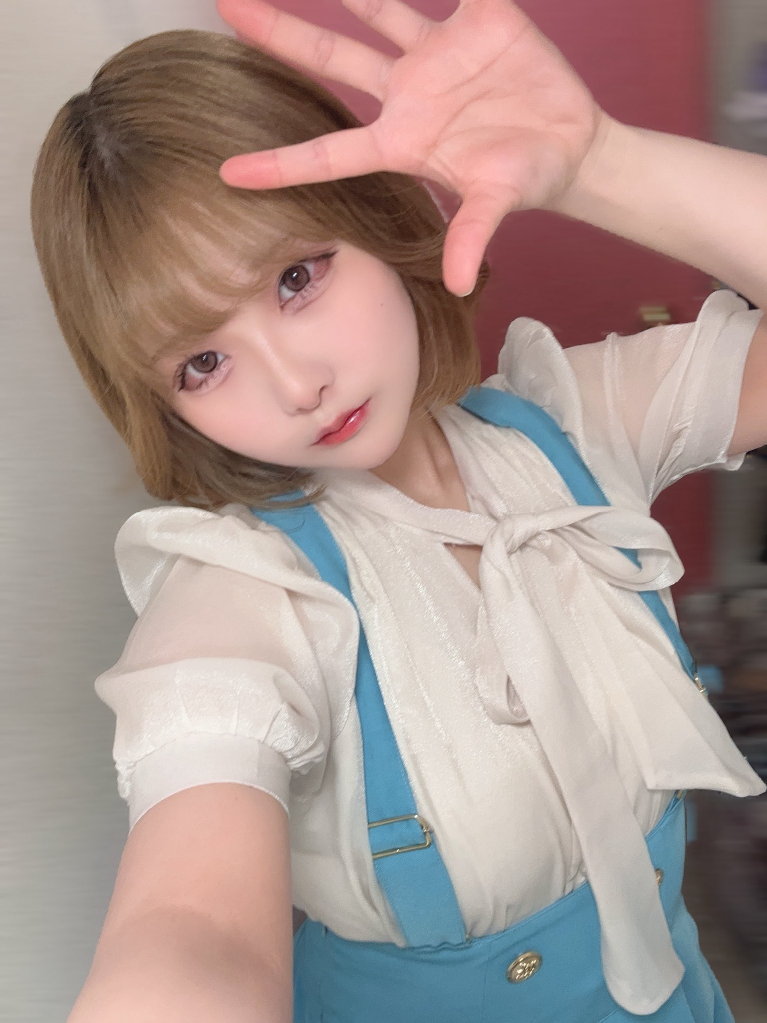 うめりんご❤️小鳥ちゃん❤️ゆらゆらハウス こえだちゃんとちっちゃなおうち・こりんごちゃんとりんごの