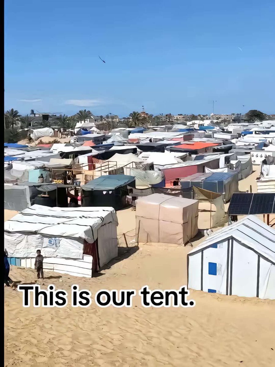 Rasha (@rashaatef19145) on Twitter photo Imagine my family has been living in these tents for more than two years, lacking the basic necessities of life. With your support, we might be able to save them.<a href="/Devon_OnEarth/">πππππβ’</a> <a href="/AnjaKeister/">π»Anja Keister at Gen Con π»</a> <a href="/WilksBecca/">Rebecca Wilks</a> <a href="/christopherroth/">Chris Roth</a> <a href="/pippa21336/">meme astronaut</a> Imagine my family has been living in these tents for more than two years, lacking the basic necessities of life. With your support, we might be able to save them.<a href="/Devon_OnEarth/">πππππβ’</a> <a href="/AnjaKeister/">π»Anja Keister at Gen Con π»</a> <a href="/WilksBecca/">Rebecca Wilks</a> <a href="/christopherroth/">Chris Roth</a> <a href="/pippa21336/">meme astronaut</a>