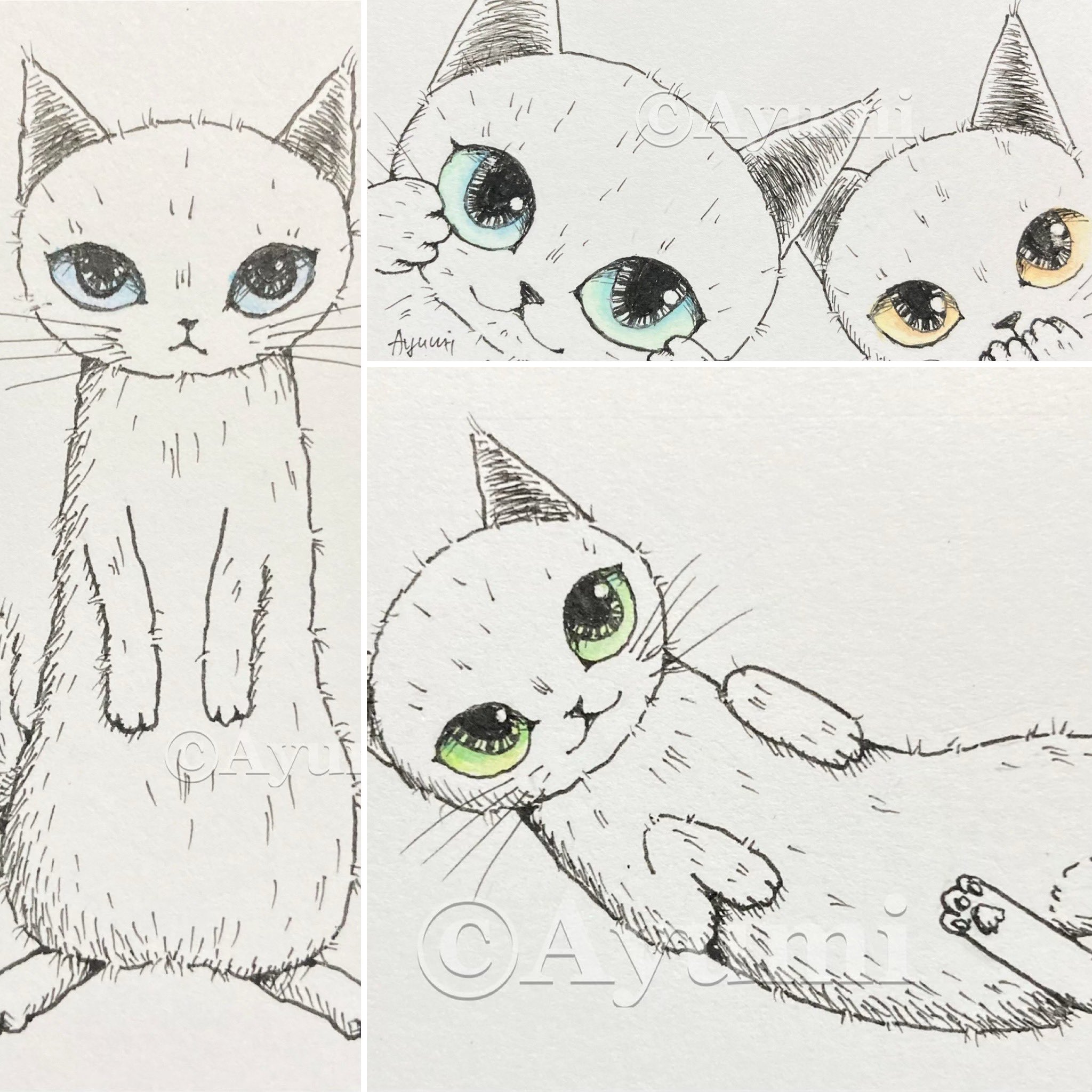 大きな瞳の猫　原画（Ayumi） Ayumi (@ayugaji) / X