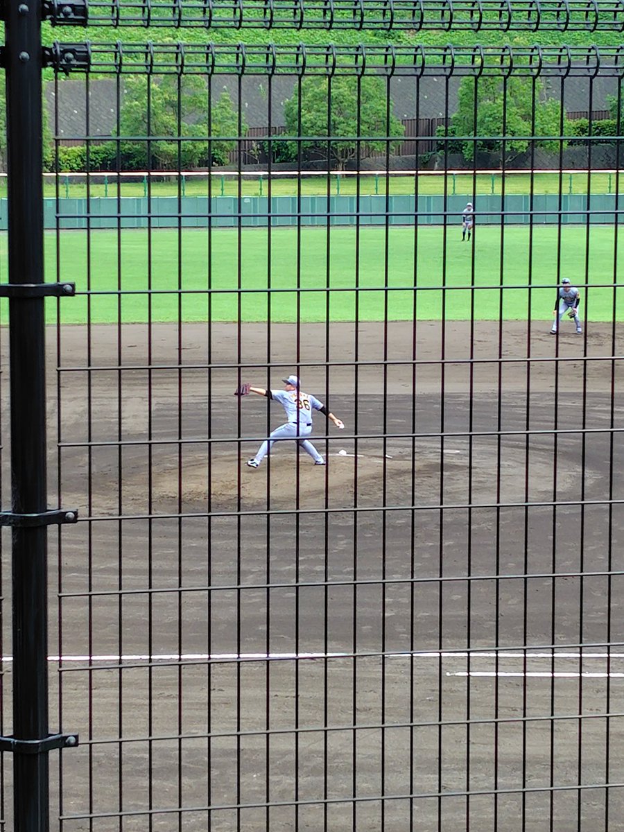 ピッチャー、畠。

現役ドラフトでタイガースに行ったんだった。
久しぶりに見たけど、やっぱり1軍で投げてほしいね。

ジャイアンツファンですが…（笑）

#畠世周