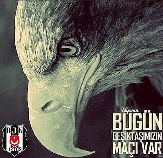#Günaydın Büyük Beşiktaş Ailesi 😊☕🦅🙋🏾‍♂️ 
#BeşiktaşınMaçıVar