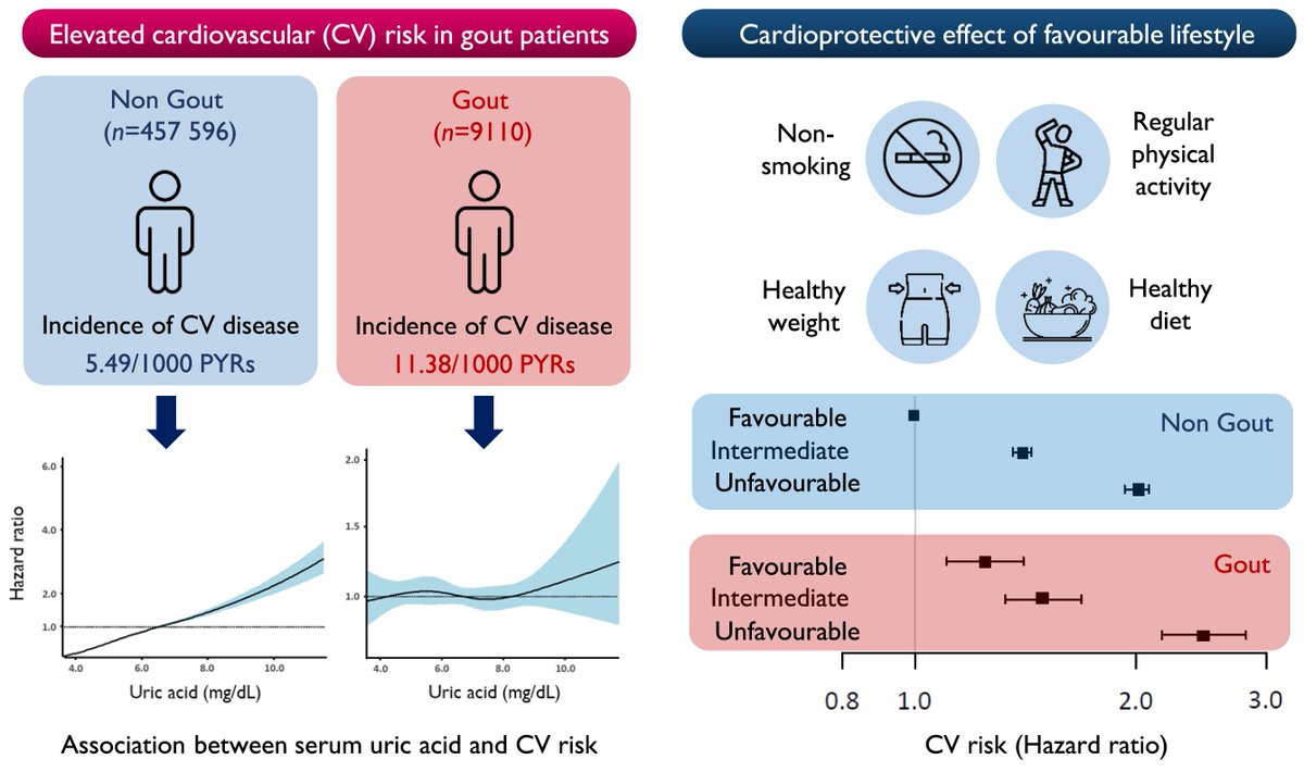 European Society of Cardiology Journals (@esc_journals) on Twitter photo Gout as a cardiovascular risk factor despite normal uric acid levels - the impact of lifestyle modification in ow.ly/EXIg50WG1yI #EHJQCCO #CVD <a href="/cpgale3/">Prof Chris P Gale</a> <a href="/diogoasantosfer/">Diogo Santos Ferreira</a> <a href="/m_piepoli/">Massimo Piepoli</a> Gout as a cardiovascular risk factor despite normal uric acid levels - the impact of lifestyle modification in ow.ly/EXIg50WG1yI #EHJQCCO #CVD <a href="/cpgale3/">Prof Chris P Gale</a> <a href="/diogoasantosfer/">Diogo Santos Ferreira</a> <a href="/m_piepoli/">Massimo Piepoli</a>