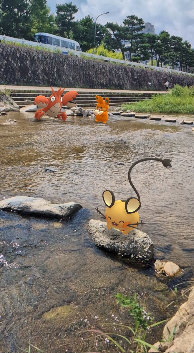 川遊びたのしいね