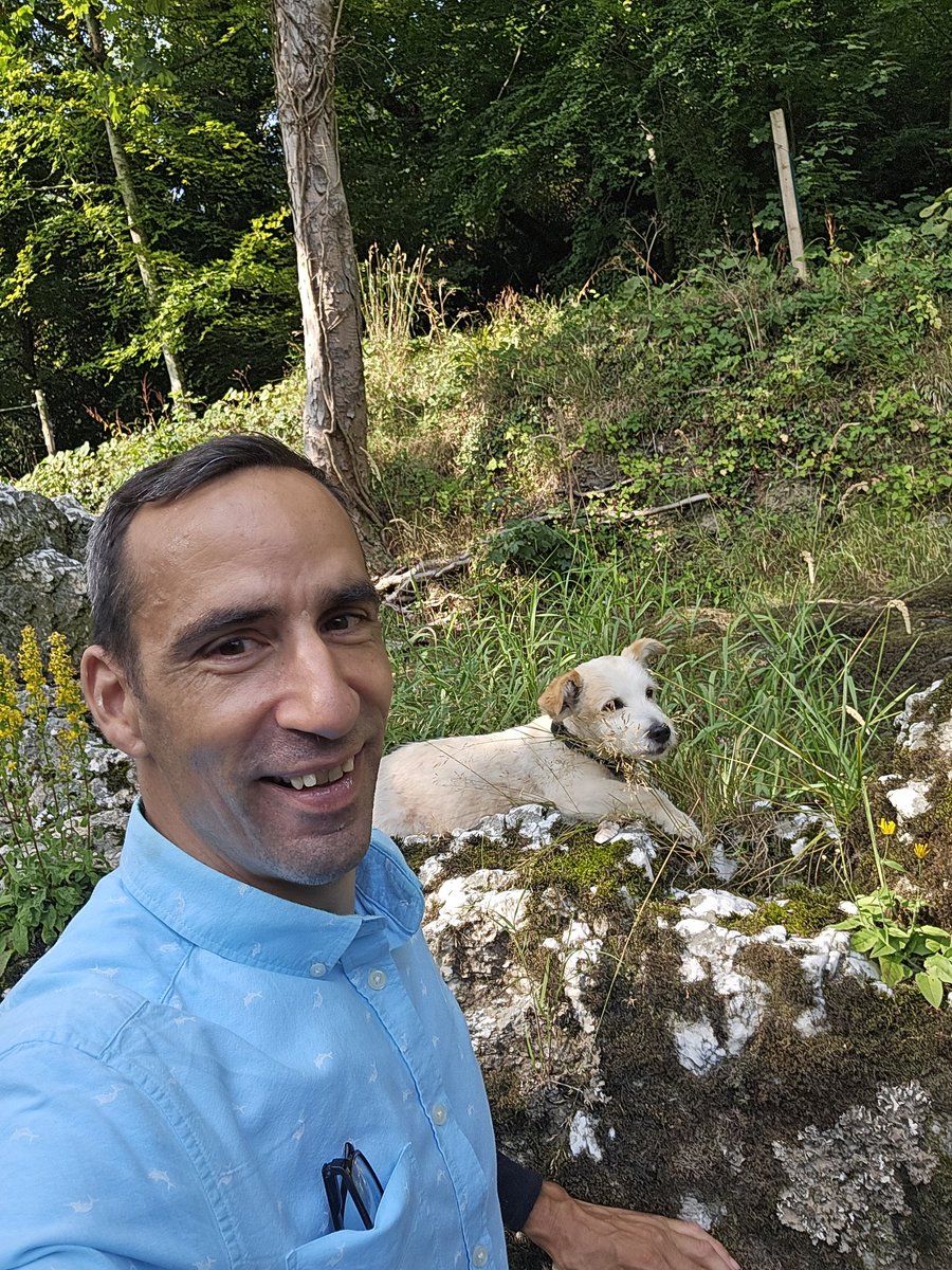 The Afon Teifi at Pontwelly on Friday 🏴󠁧󠁢󠁷󠁬󠁳󠁿