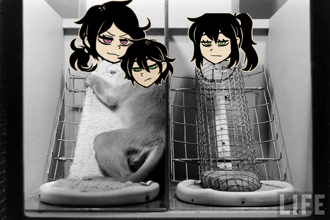 CampionBond's tweet photo. Cloth Mother Ashley vs Wire Mother Renee https://t.co/0W2ae9X7B3
