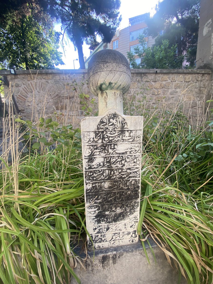 Şeyh Habibi Karamani Halveti Hazretleri 
(Amasya)