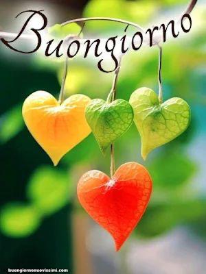 Marianna tweet media