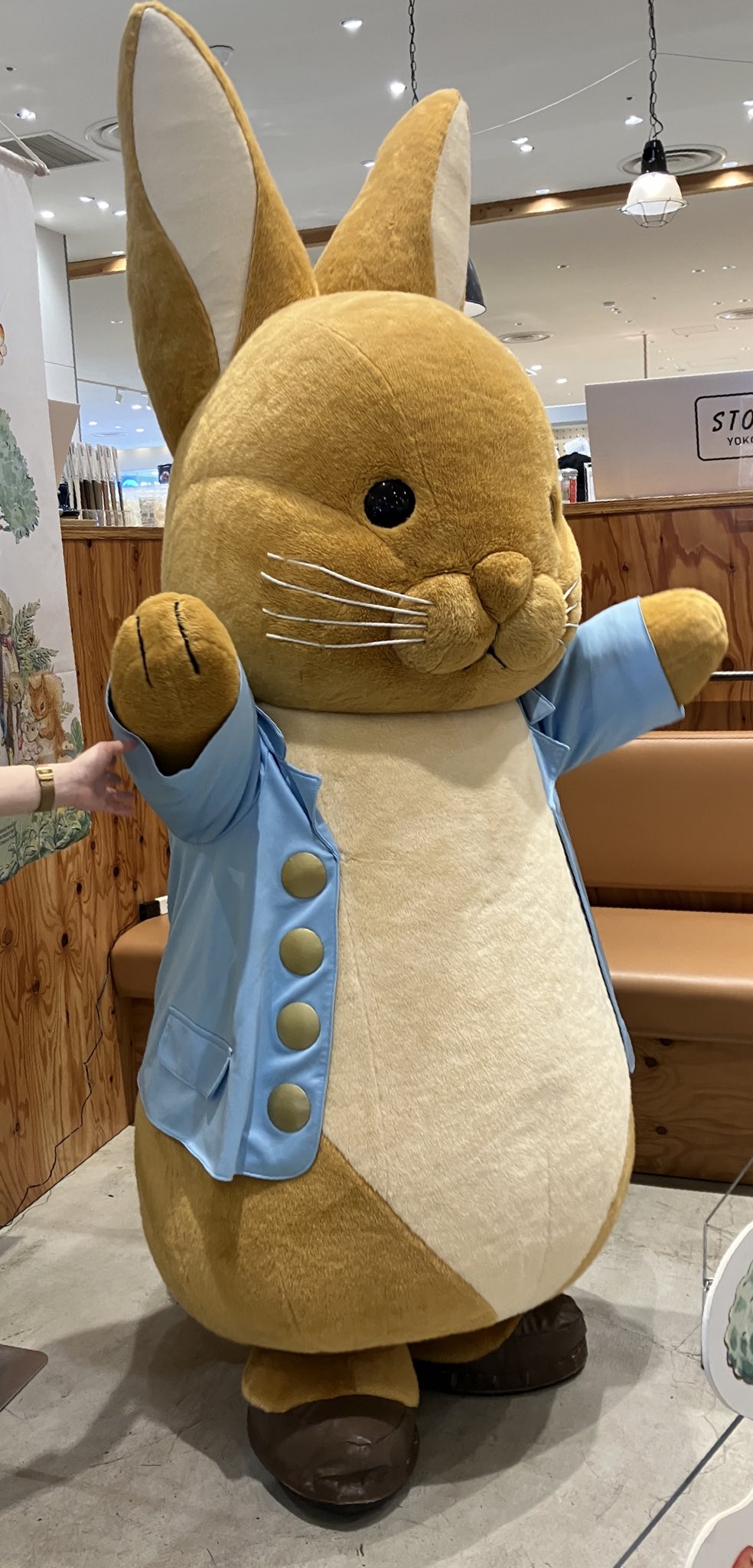 ピーターラビット　ほぼ未使用 新品•未使用】ピーターラビット 保冷バッグ - メルカリ