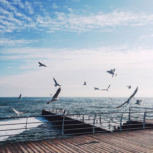 Катерина Галич tweet media