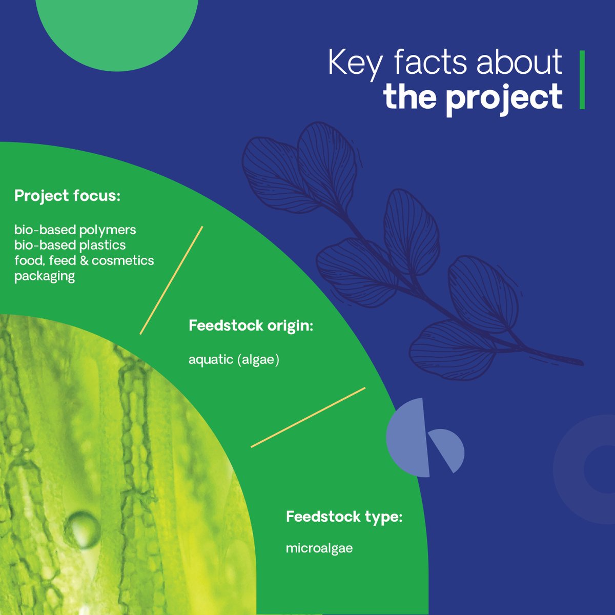 Microalgae offer an alternative to less sustainable biomass, with applications in food &amp; plastics. The CBE JU-funded MULTIPLY project will turn 5 microalgae species into 10 products for food, feed, biomaterials, lubricants, coatings, packaging &amp; cosmetics: cbe.europa.eu/projects/multi…