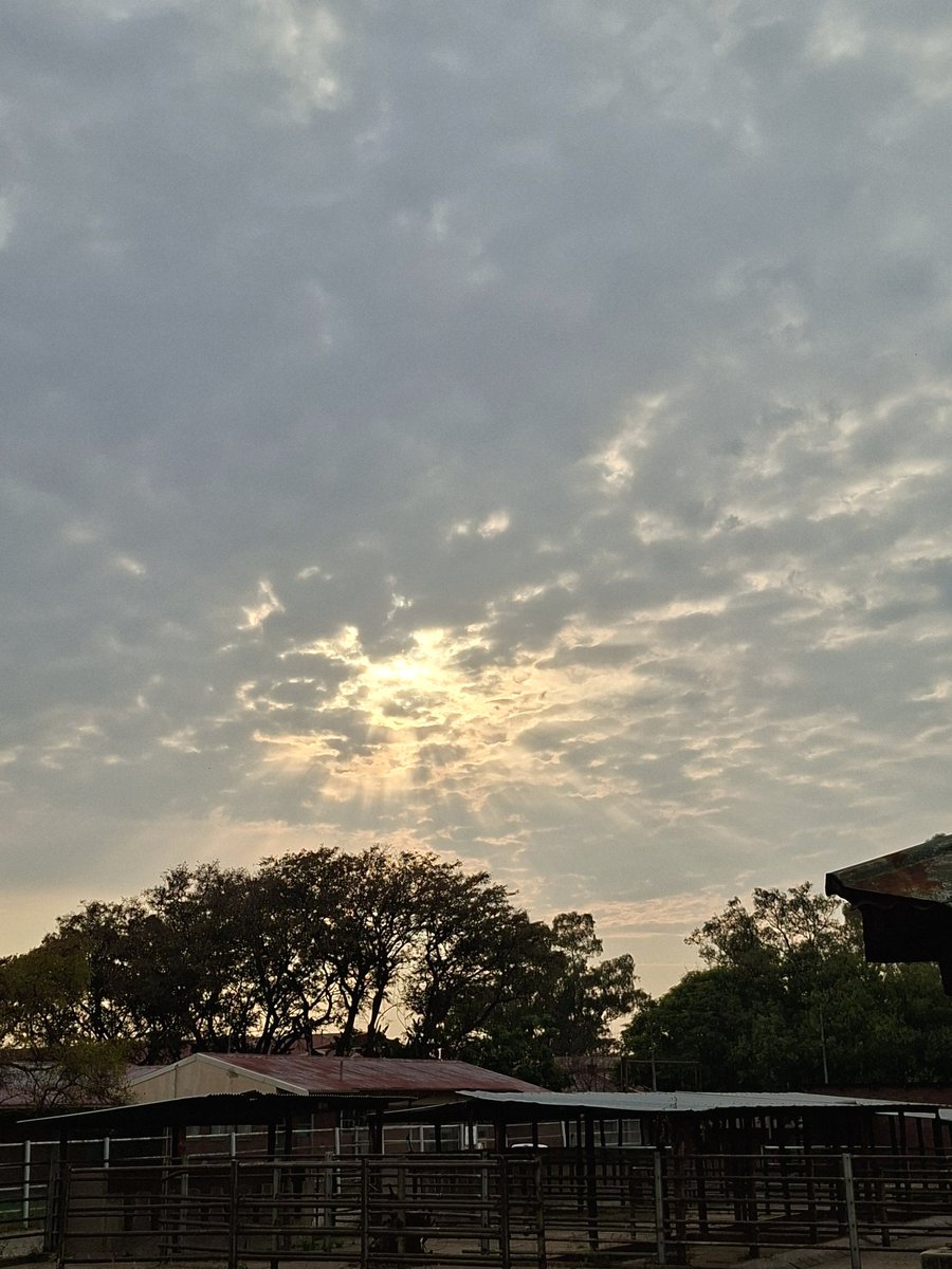 Early morning stable rounds- weekend duty has its perks.